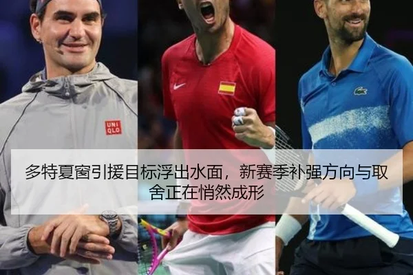 多特夏窗引援目标浮出水面，新赛季补强方向与取舍正在悄然成形